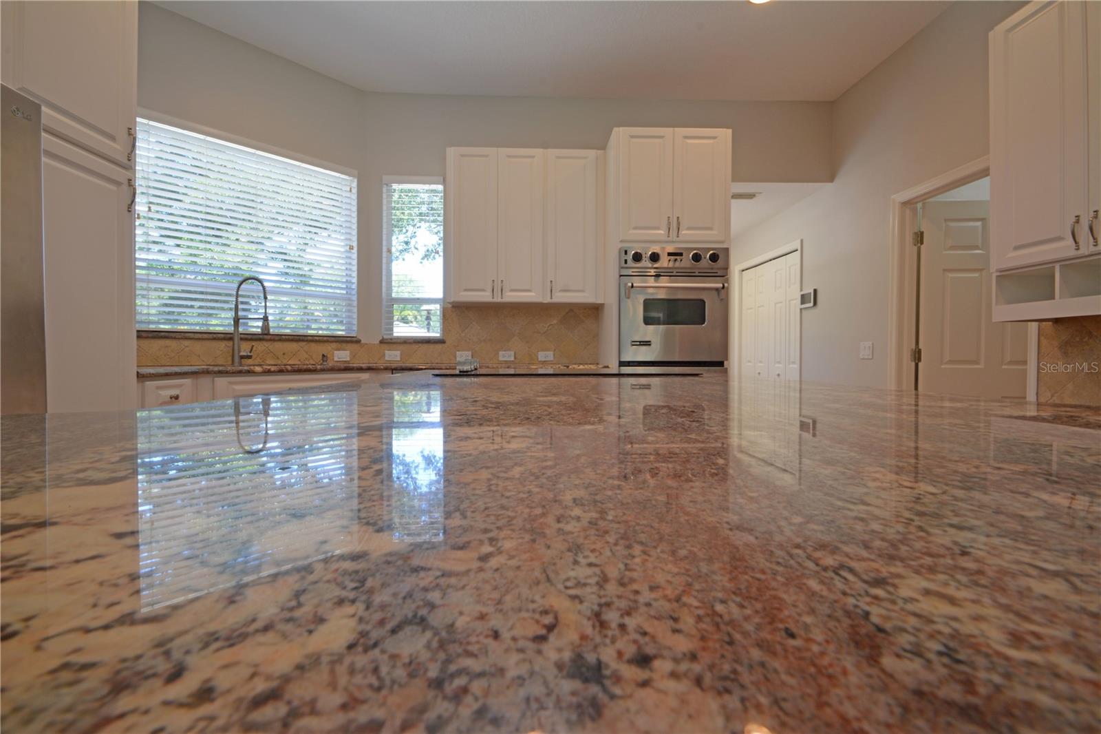 3293 MALLARD DR, SAFETY HARBOR, FL, 34695