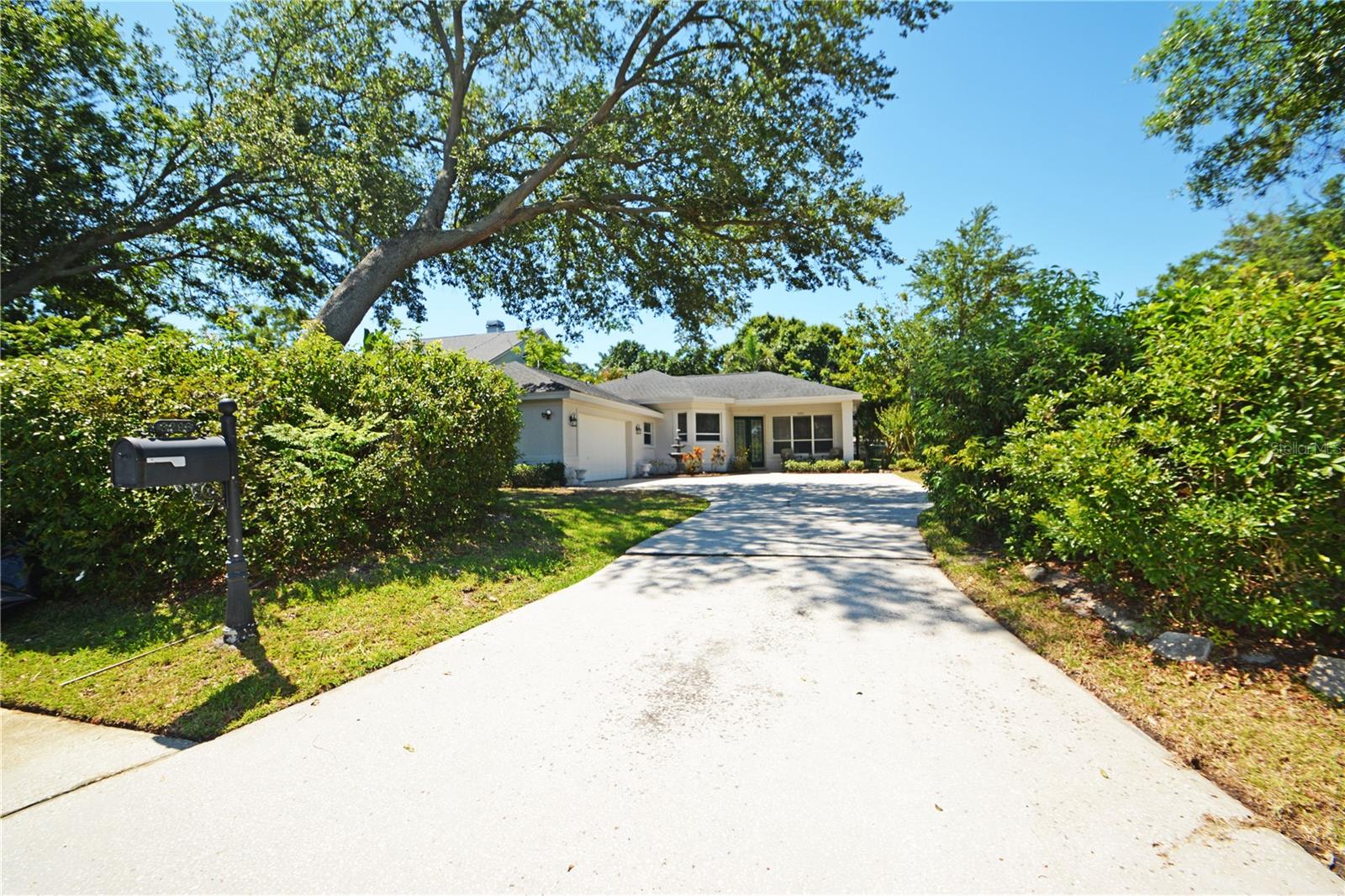 3293 MALLARD DR, SAFETY HARBOR, FL, 34695