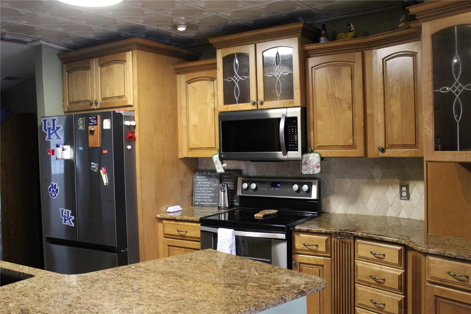 13318 HOLLOWBEND LN, RIVERVIEW, FL, 33569