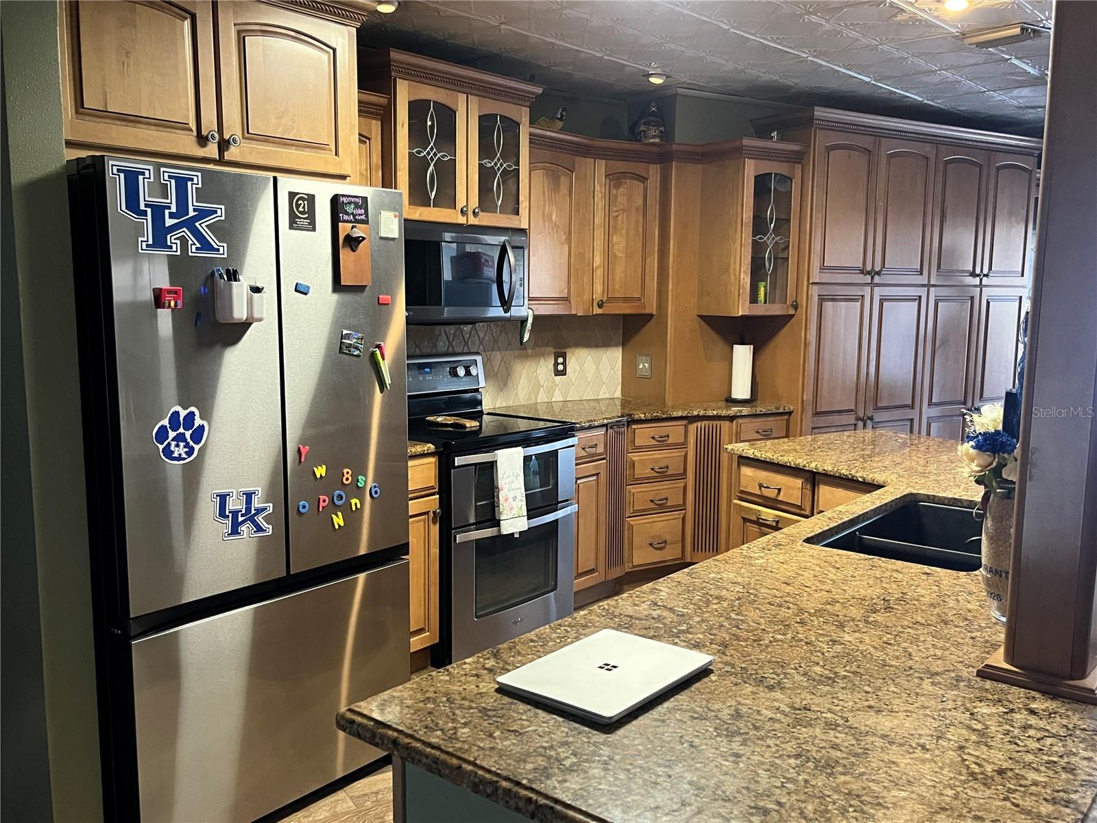 13318 HOLLOWBEND LN, RIVERVIEW, FL, 33569