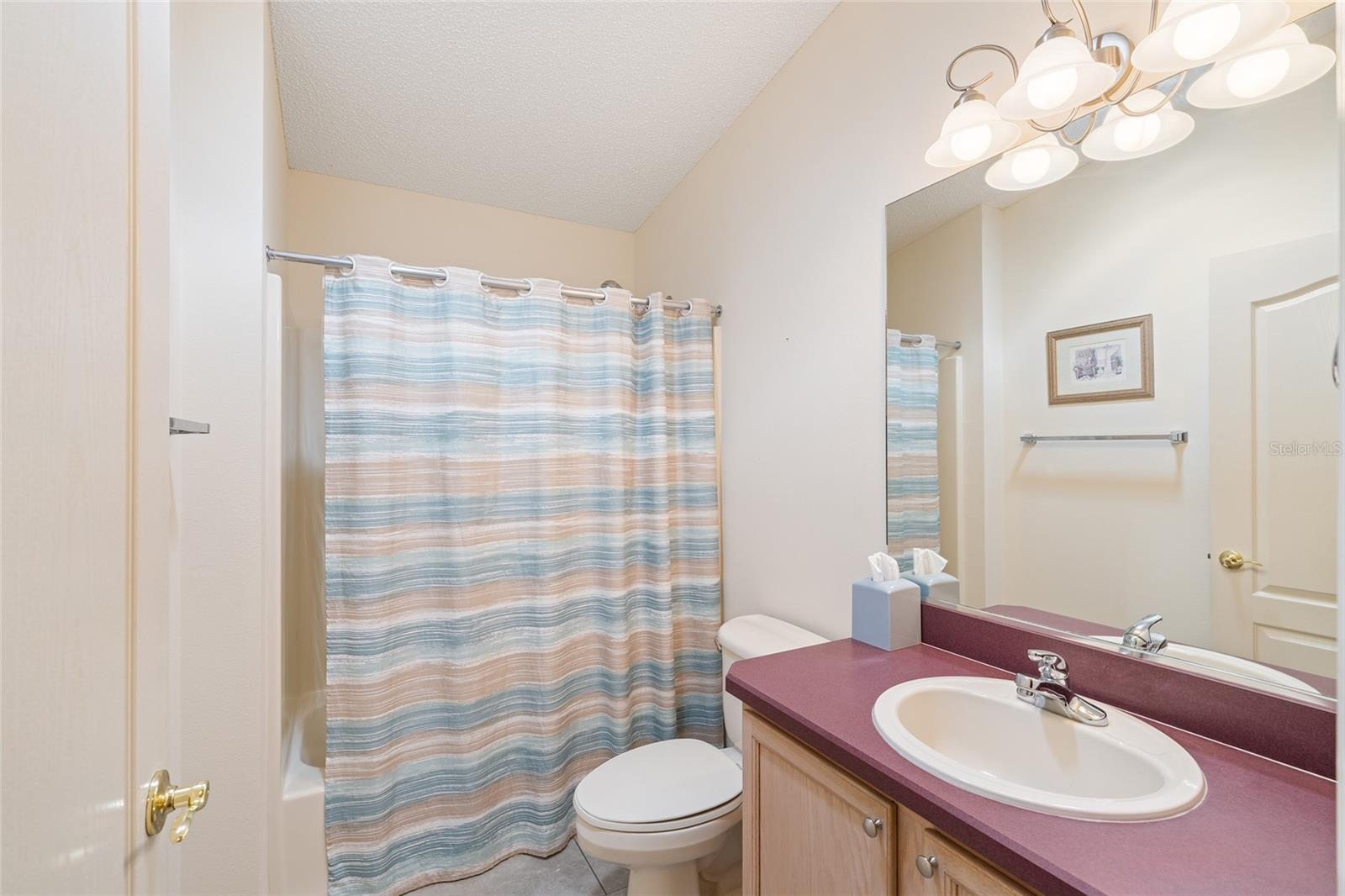 17300 SE 93RD HEYWARD AVE, THE VILLAGES, FL, 32162