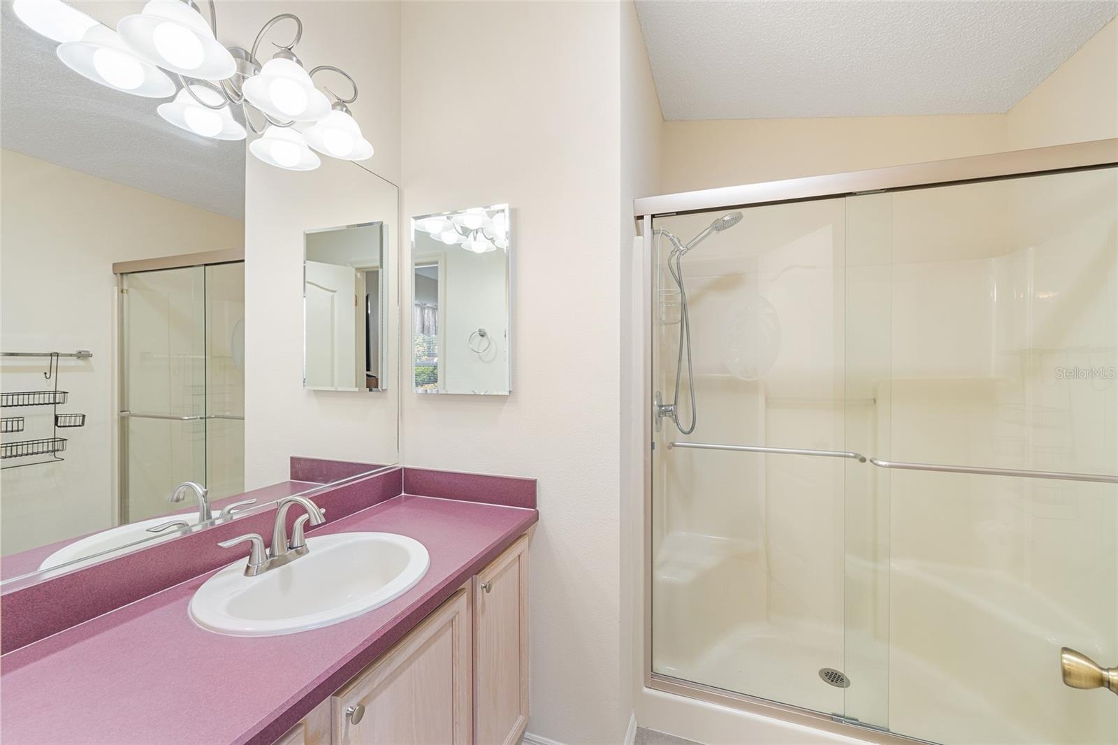 17300 SE 93RD HEYWARD AVE, THE VILLAGES, FL, 32162