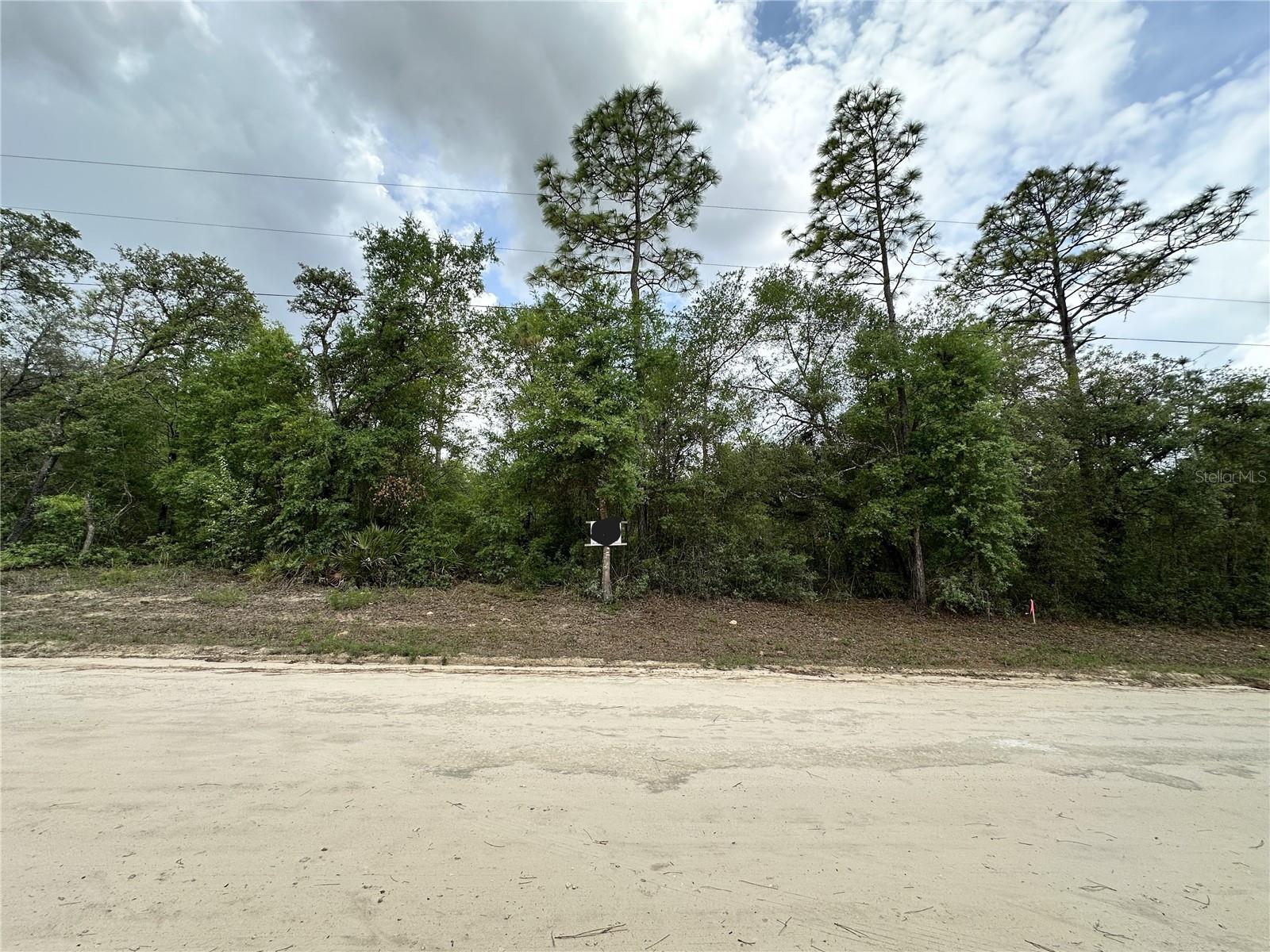 NE 112TH CT, ARCHER, FL, 32618