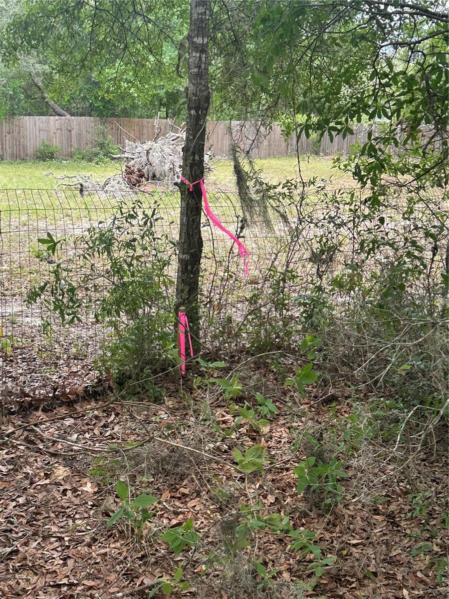 NE 112TH CT, ARCHER, FL, 32618