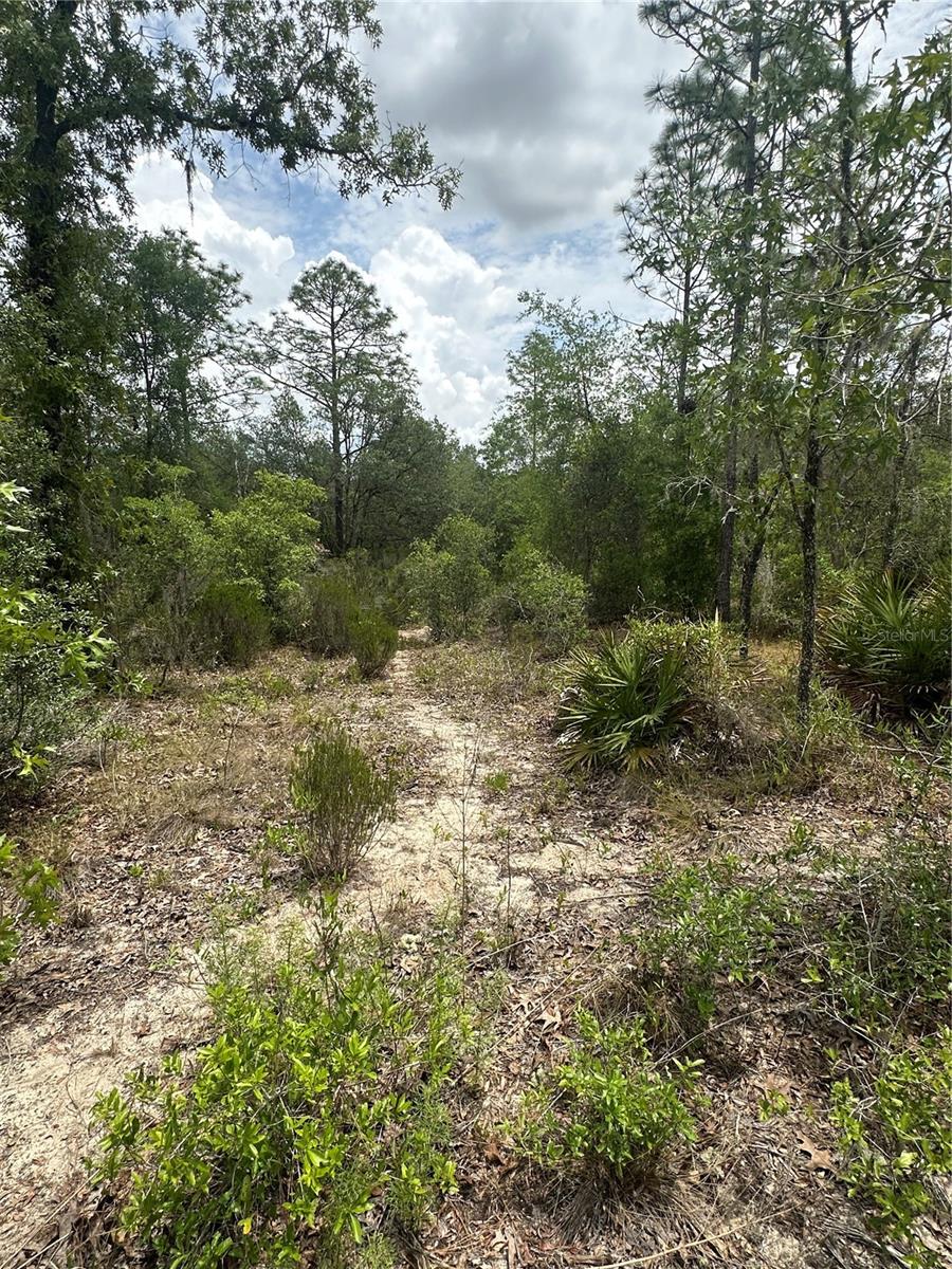 NE 112TH CT, ARCHER, FL, 32618