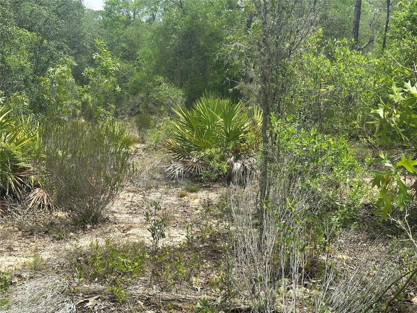 NE 112TH CT, ARCHER, FL, 32618