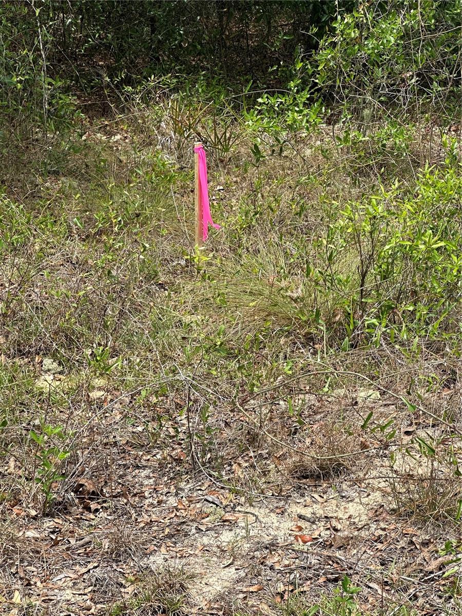 NE 112TH CT, ARCHER, FL, 32618