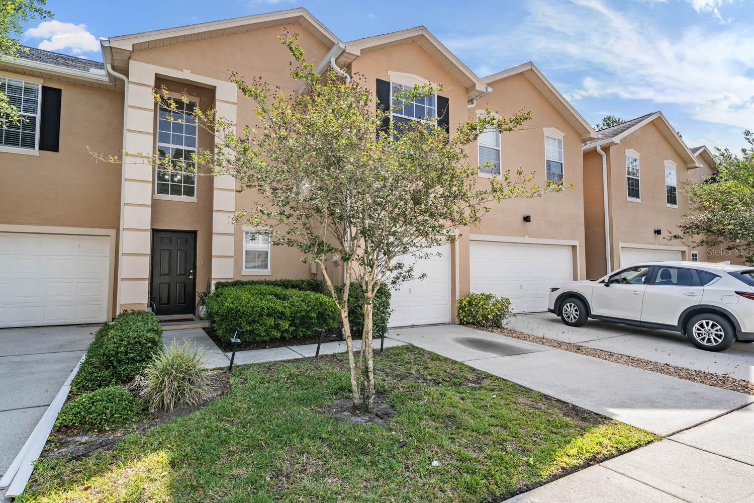16309 WORCHESTER PALMS CT, TAMPA, FL, 33647