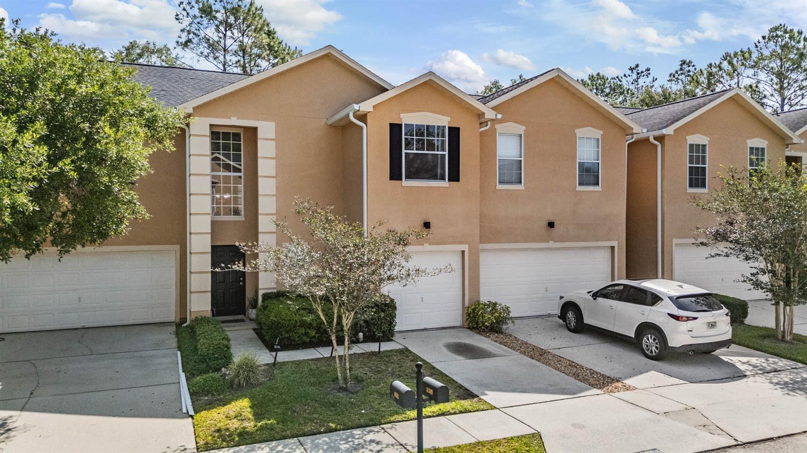 16309 WORCHESTER PALMS CT, TAMPA, FL, 33647