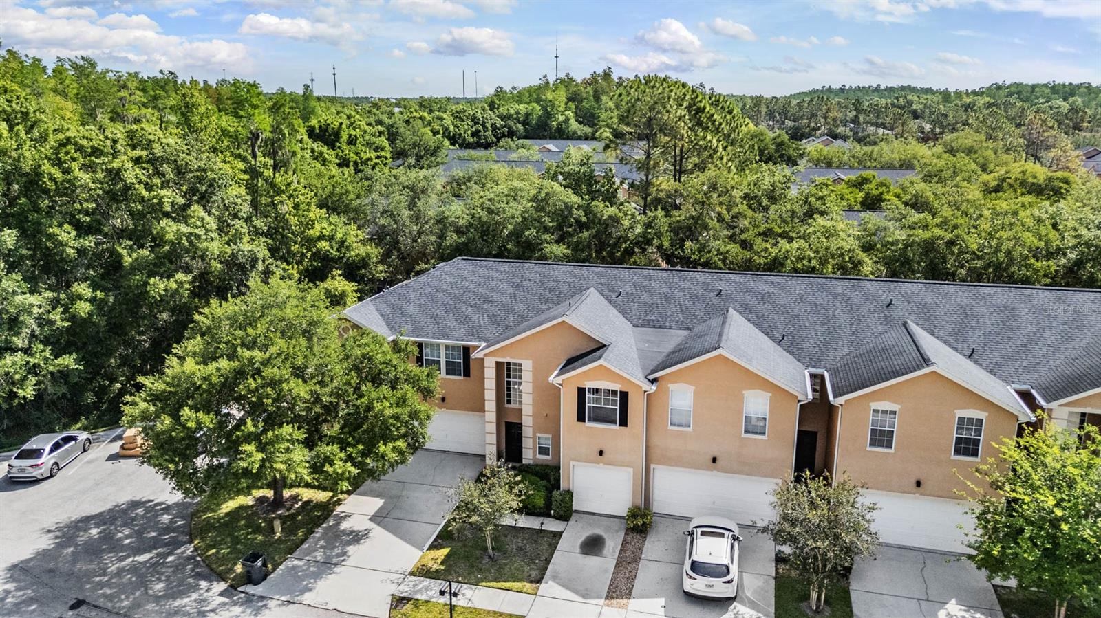 16309 WORCHESTER PALMS CT, TAMPA, FL, 33647