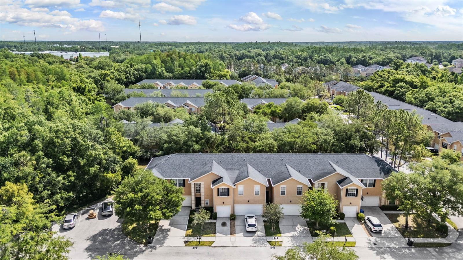 16309 WORCHESTER PALMS CT, TAMPA, FL, 33647