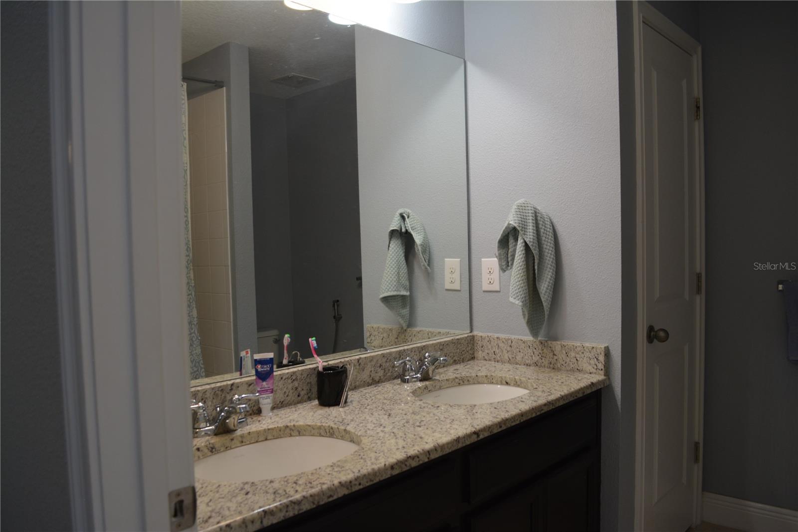 5639 GRAND SONATA AVE, LUTZ, FL, 33558