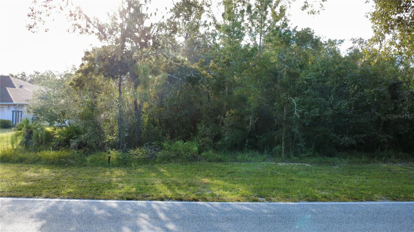 54 OAK VILLAGE BLVD, HOMOSASSA, FL, 34446
