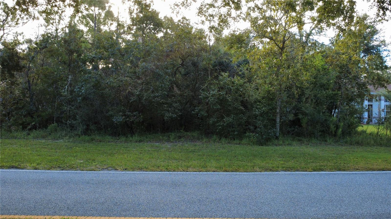 54 OAK VILLAGE BLVD, HOMOSASSA, FL, 34446