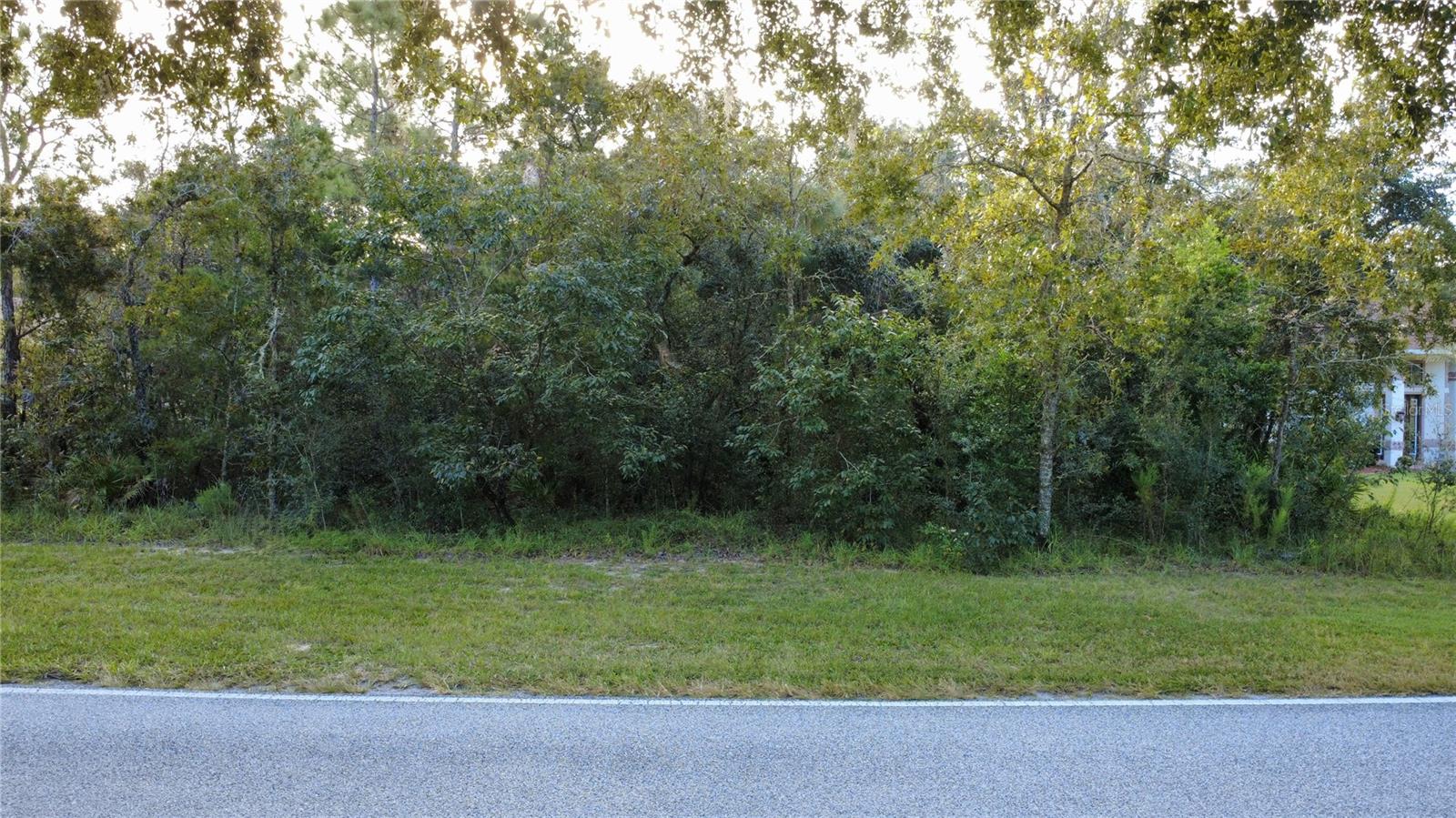 54 OAK VILLAGE BLVD, HOMOSASSA, FL, 34446
