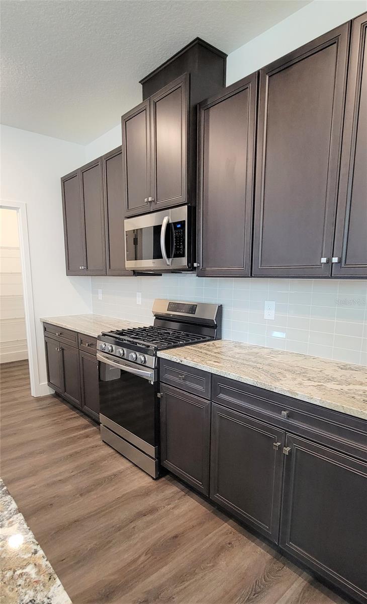 15086 LEBEAU LOOP, WINTER GARDEN, FL, 34787