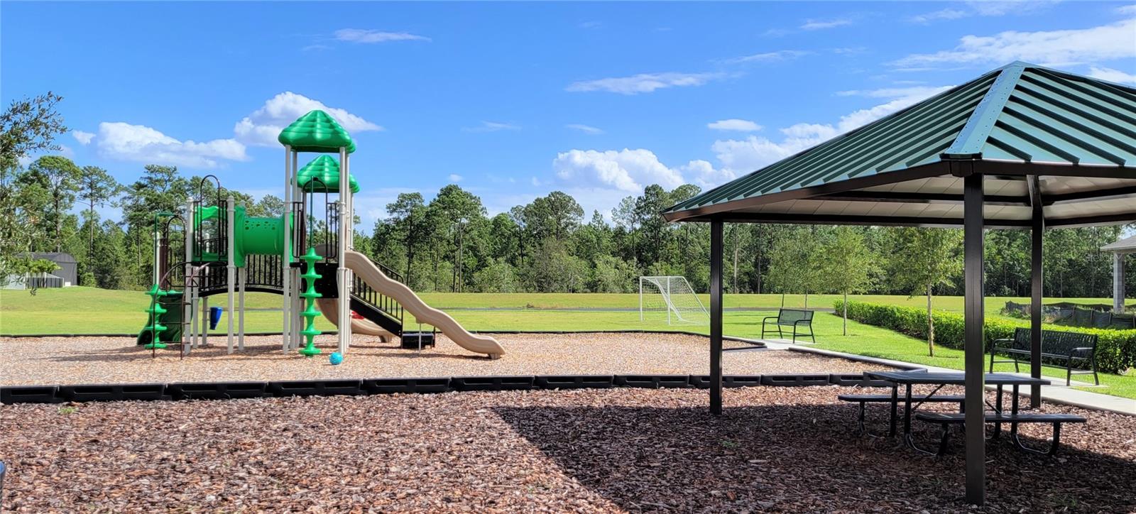 15086 LEBEAU LOOP, WINTER GARDEN, FL, 34787