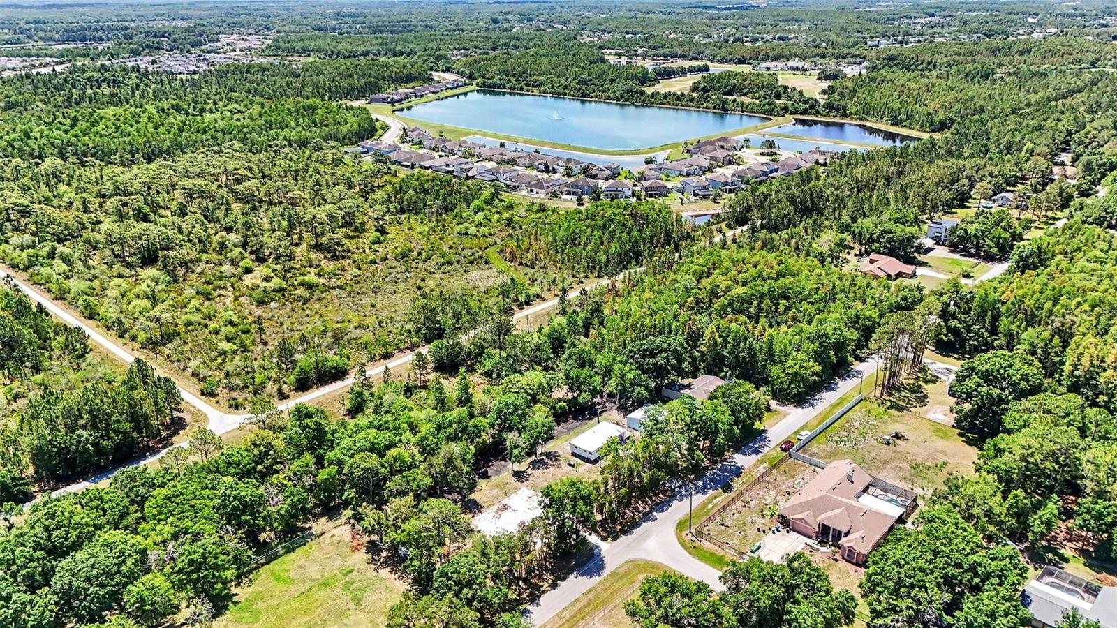 1346 SIERRA PINES BLVD, LUTZ, FL, 33558