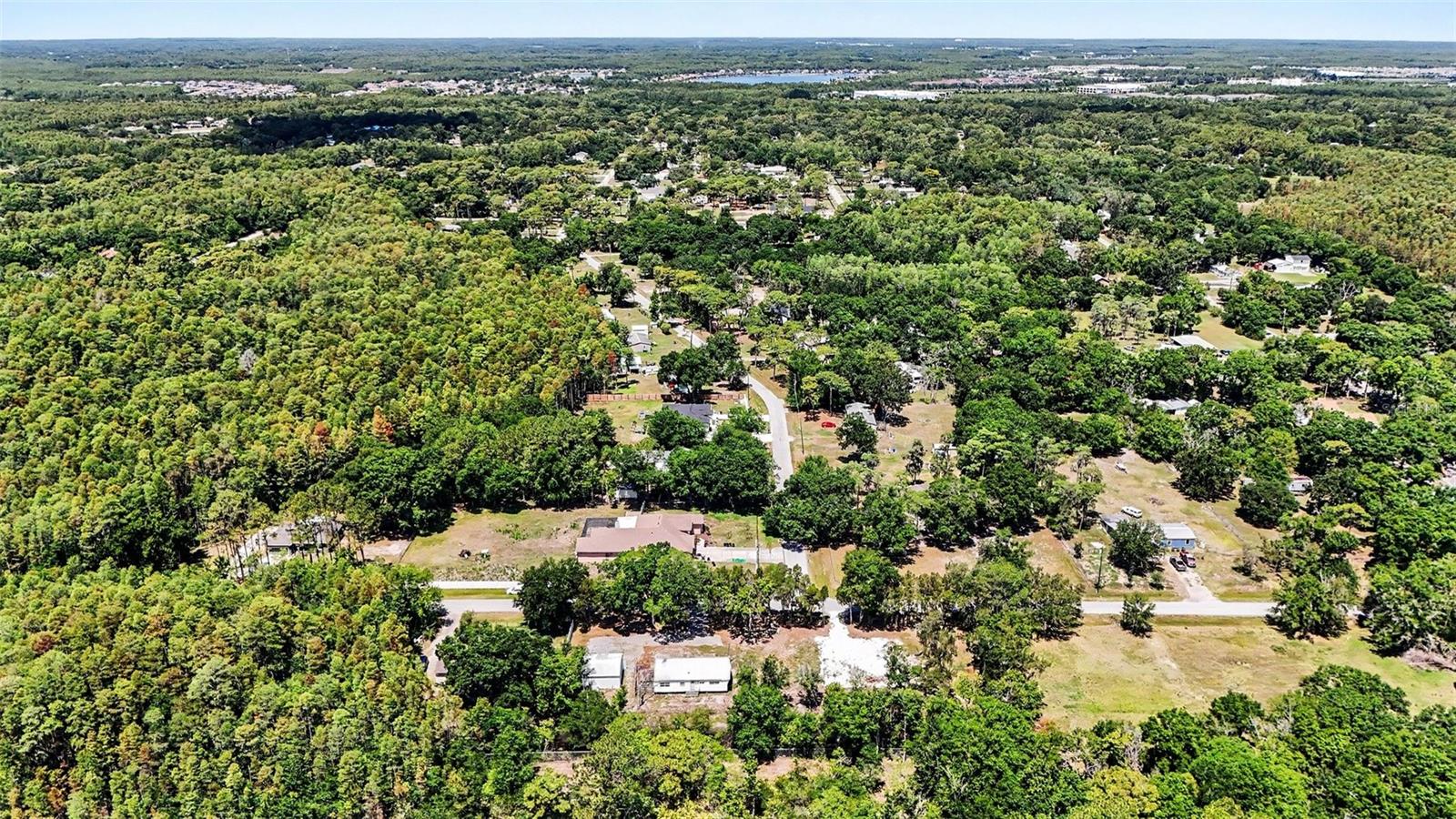 1346 SIERRA PINES BLVD, LUTZ, FL, 33558