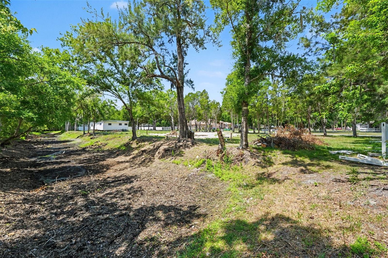 1346 SIERRA PINES BLVD, LUTZ, FL, 33558