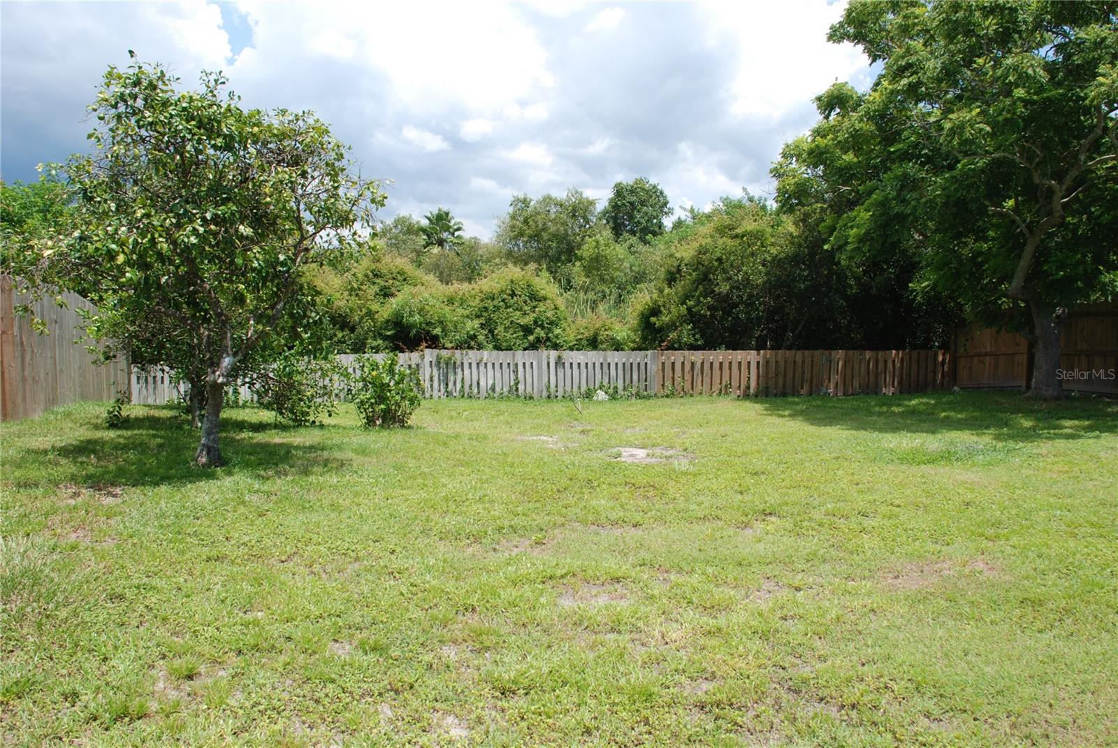 1624 SPRINGDALE DR, HOLIDAY, FL, 34691