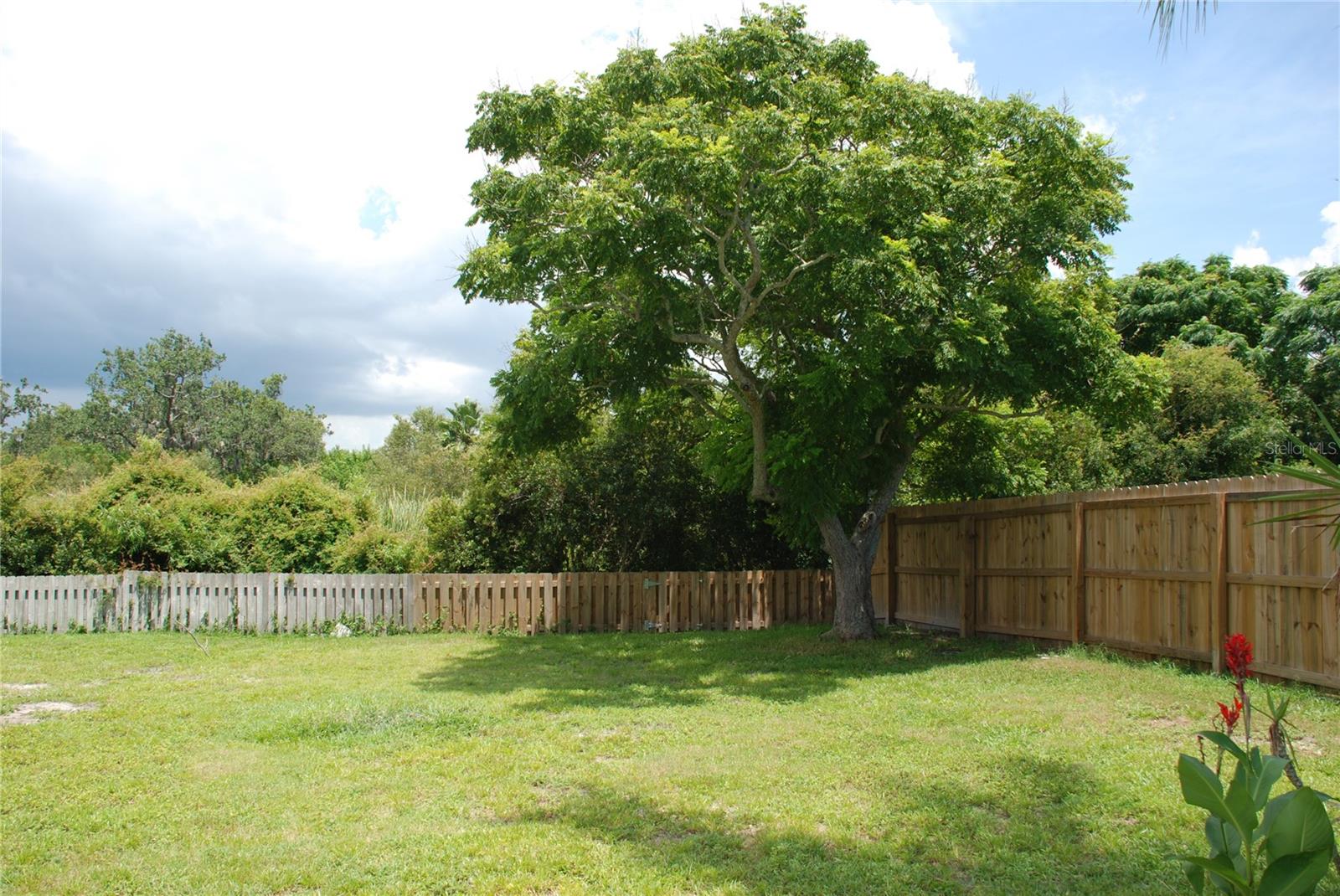 1624 SPRINGDALE DR, HOLIDAY, FL, 34691