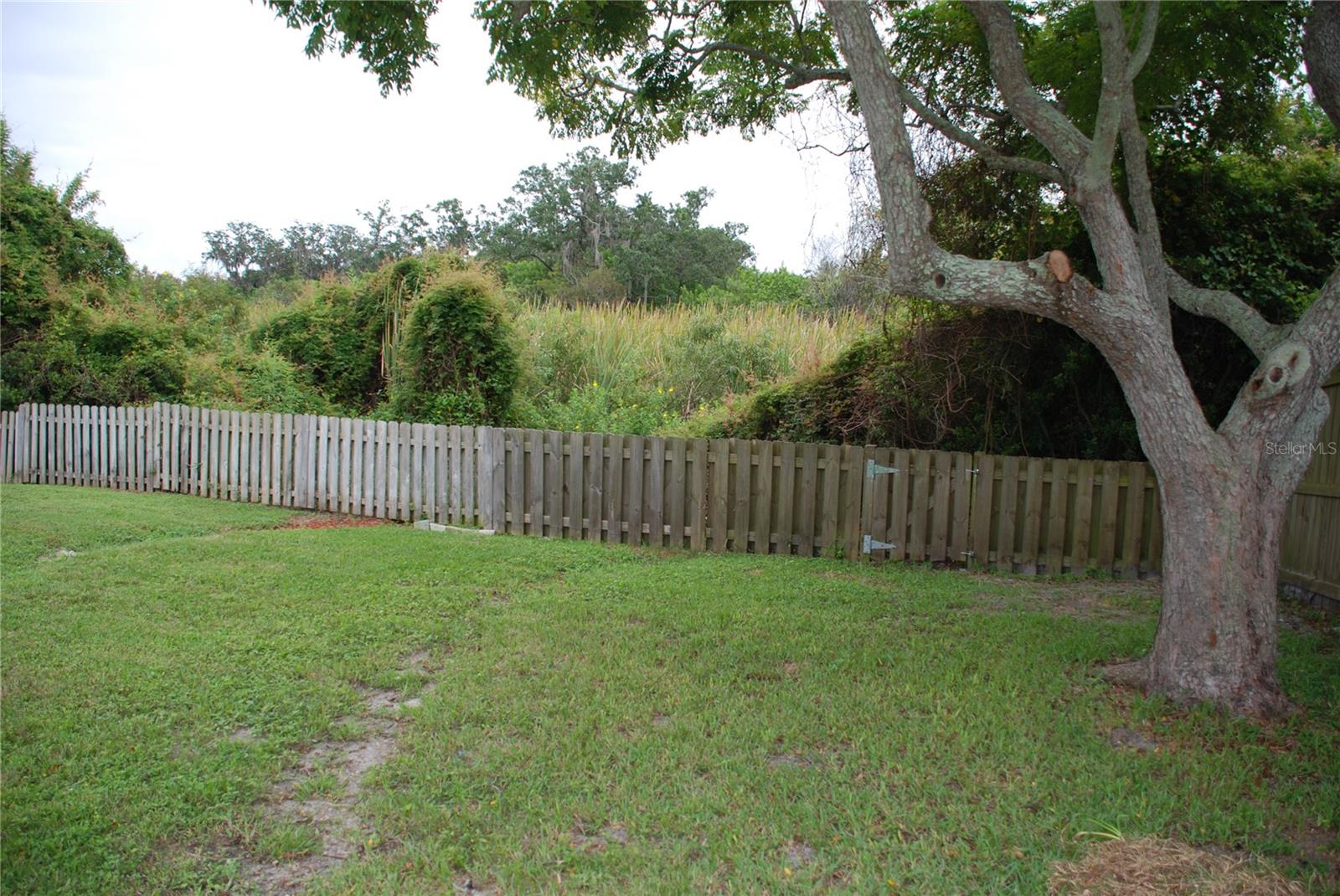 1624 SPRINGDALE DR, HOLIDAY, FL, 34691