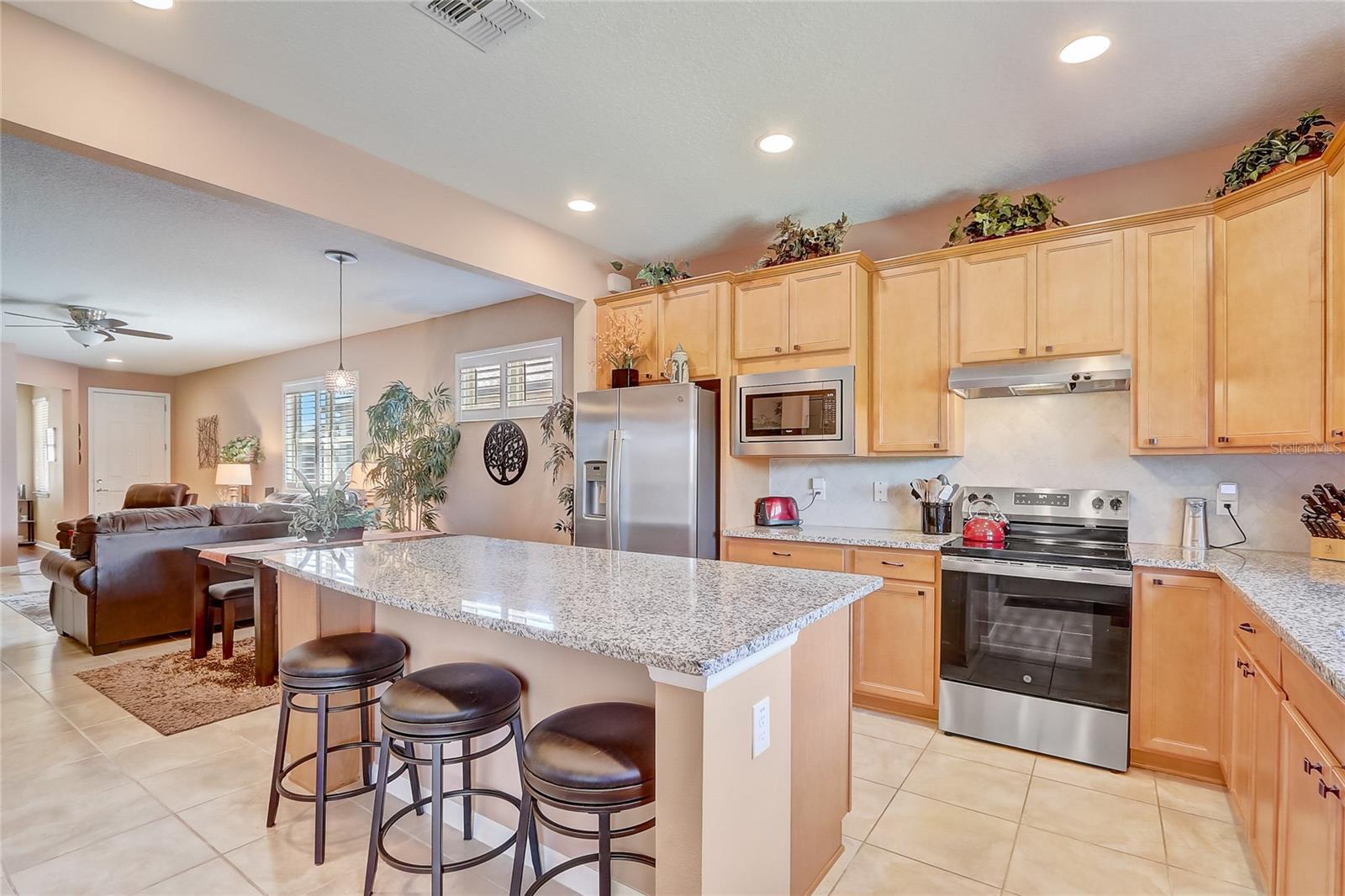 9673 SW 63RD LOOP, OCALA, FL, 34481