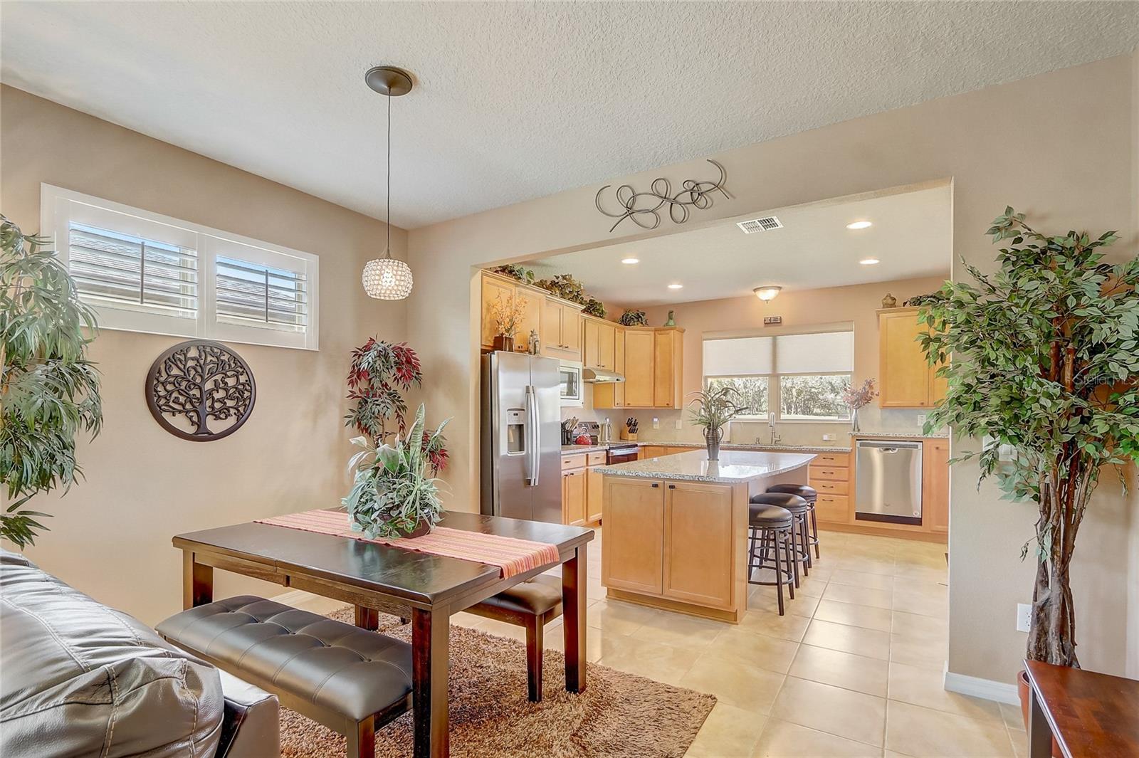 9673 SW 63RD LOOP, OCALA, FL, 34481