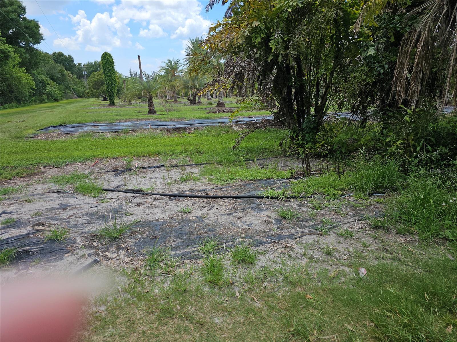 1405 6TH ST SE, RUSKIN, FL, 33570