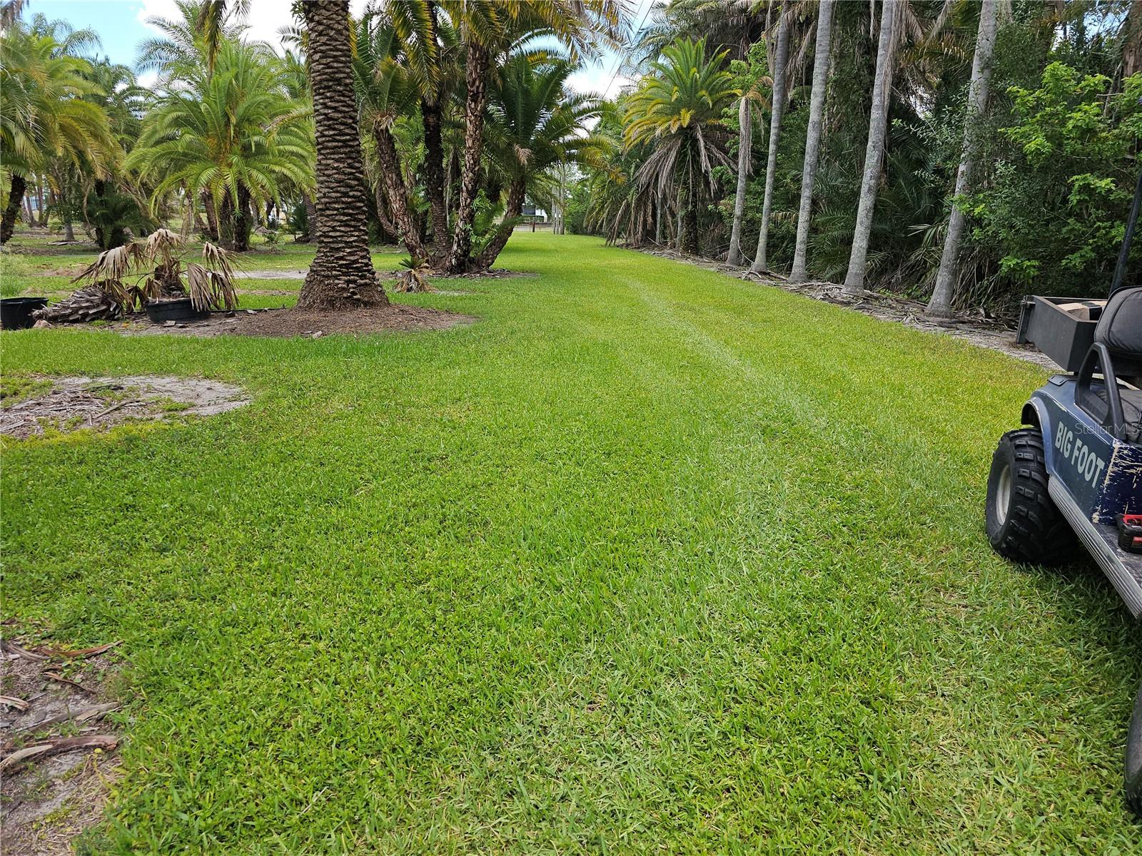 1405 6TH ST SE, RUSKIN, FL, 33570