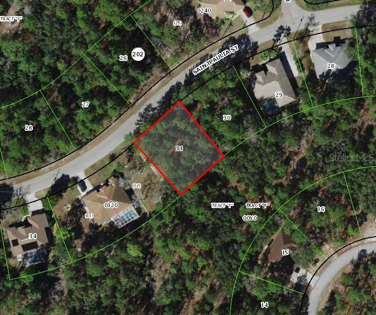 31 SAINTPAULIA ST, HOMOSASSA, FL, 34446
