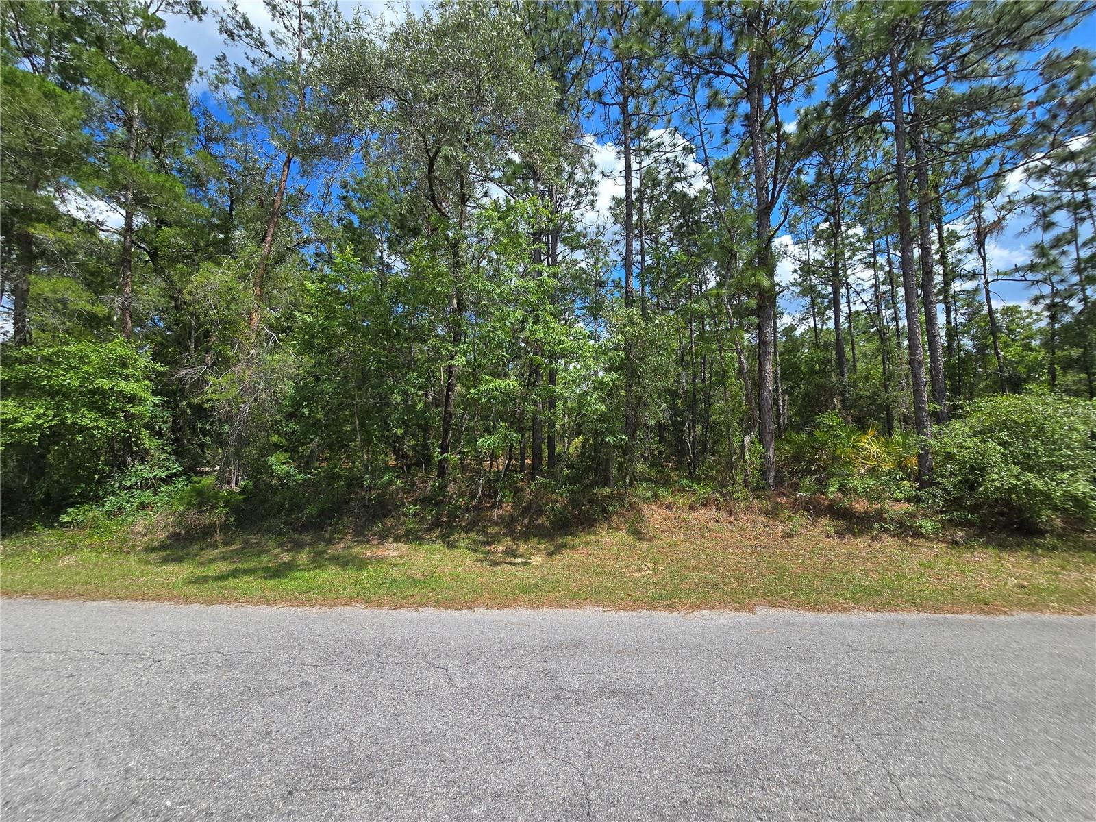 31 SAINTPAULIA ST, HOMOSASSA, FL, 34446