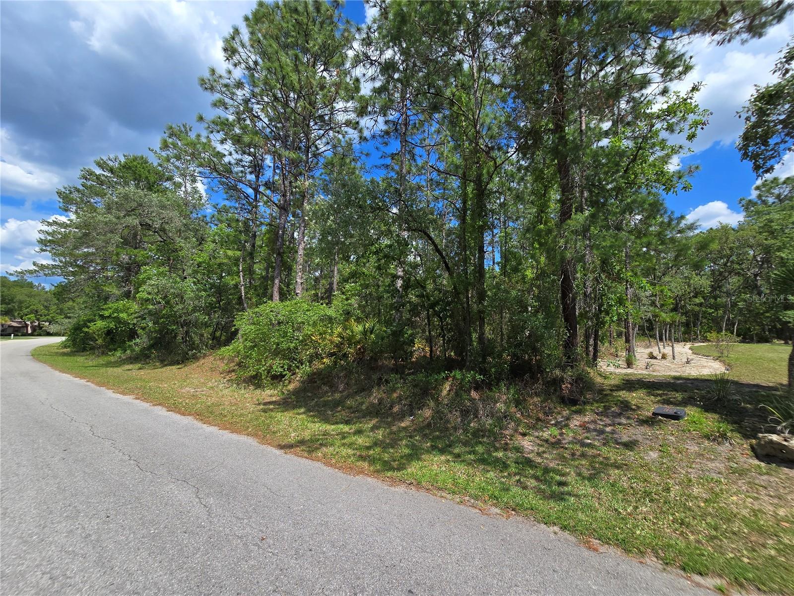 31 SAINTPAULIA ST, HOMOSASSA, FL, 34446