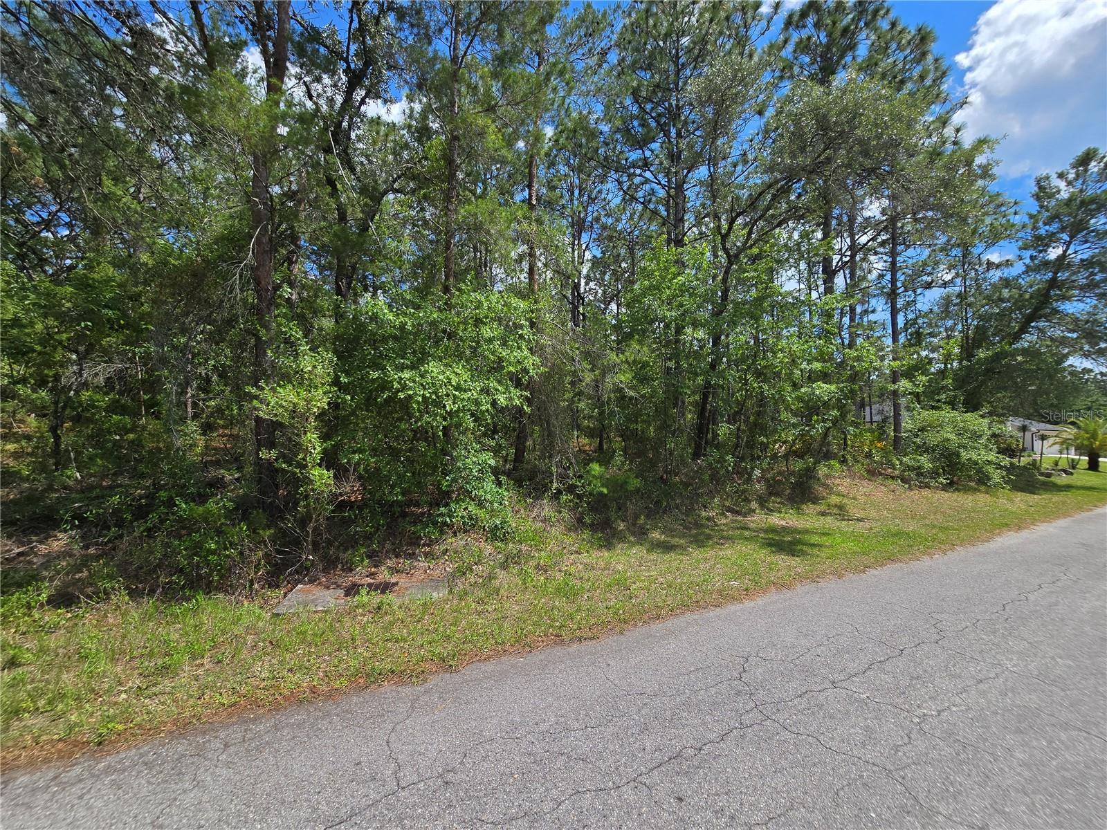 31 SAINTPAULIA ST, HOMOSASSA, FL, 34446