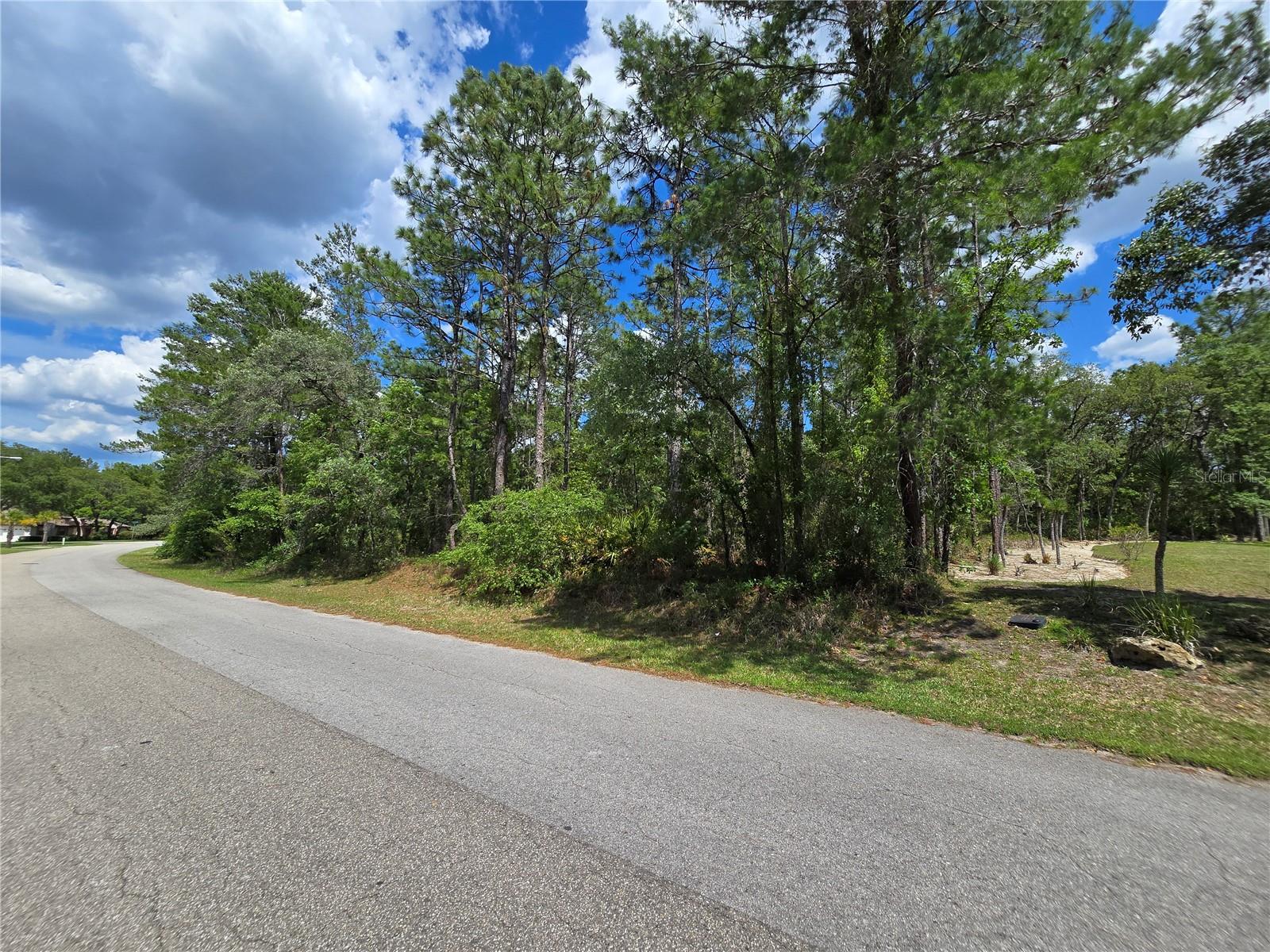 31 SAINTPAULIA ST, HOMOSASSA, FL, 34446