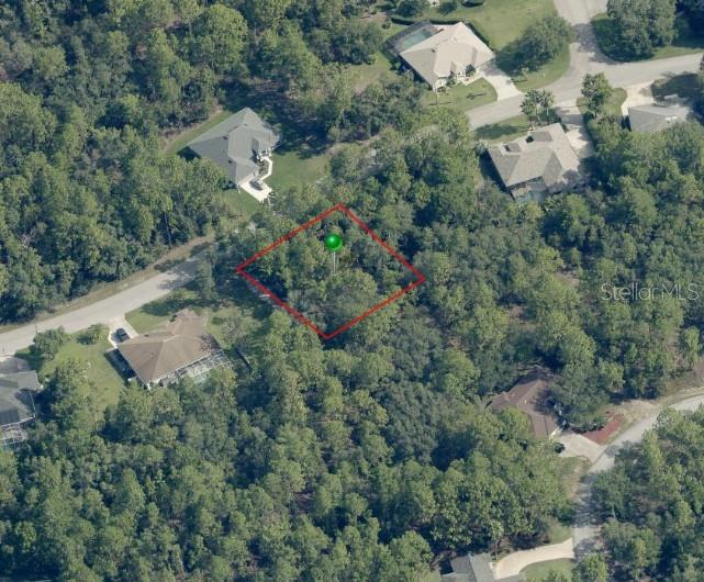 31 SAINTPAULIA ST, HOMOSASSA, FL, 34446