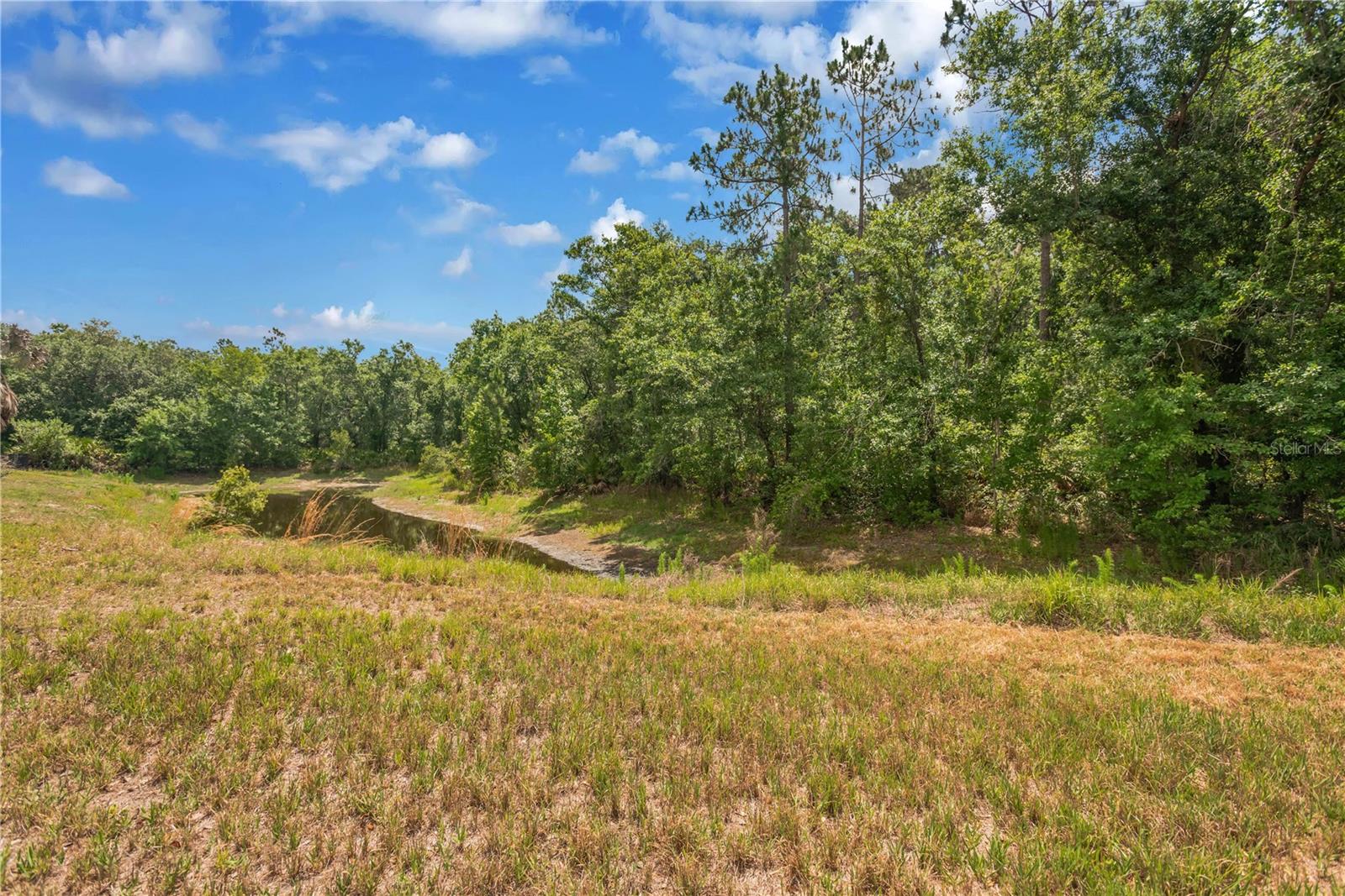 6012 KITERIDGE DR, LITHIA, FL, 33547
