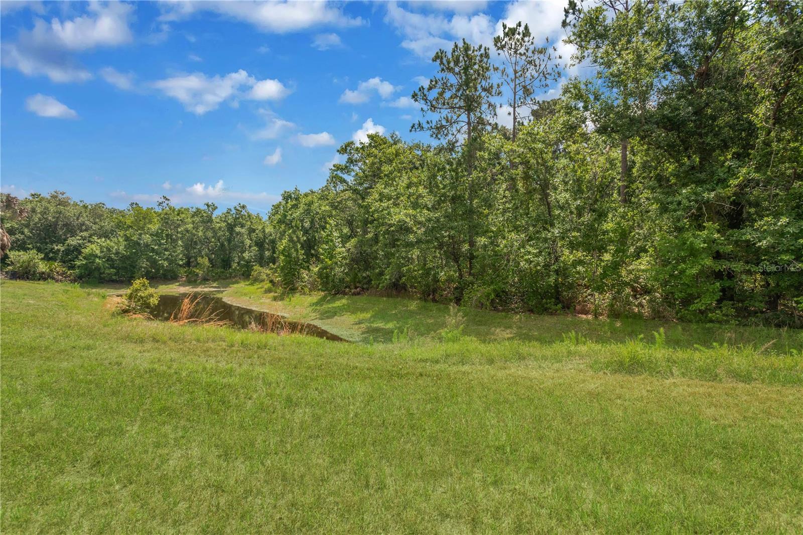 6012 KITERIDGE DR, LITHIA, FL, 33547