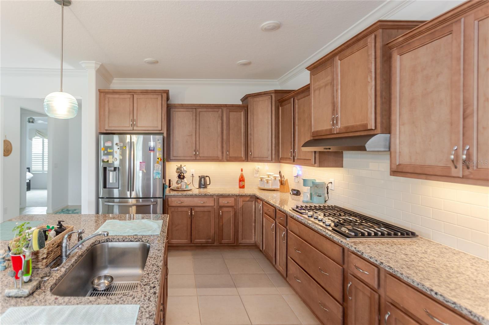 10378 SW 96TH LOOP, OCALA, FL, 34481