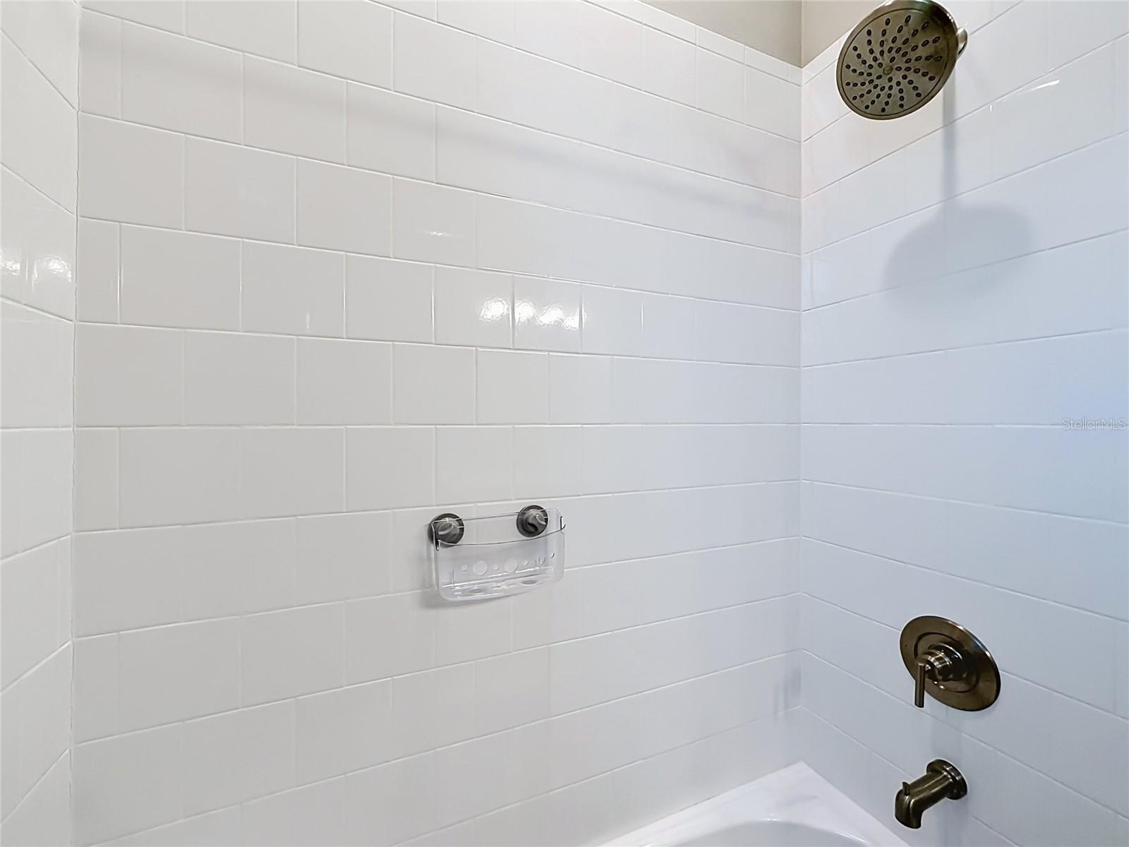 8598 BRIDGEPORT BAY CIR, MOUNT DORA, FL, 32757