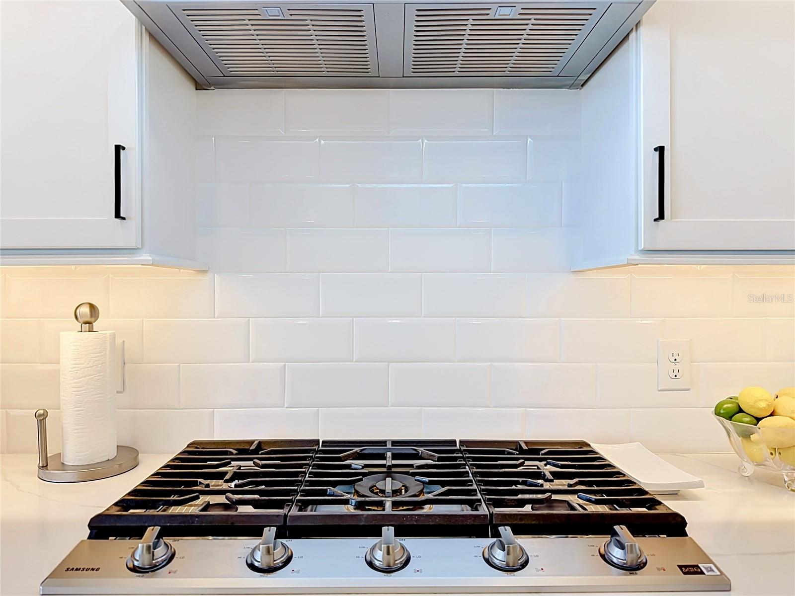 8598 BRIDGEPORT BAY CIR, MOUNT DORA, FL, 32757