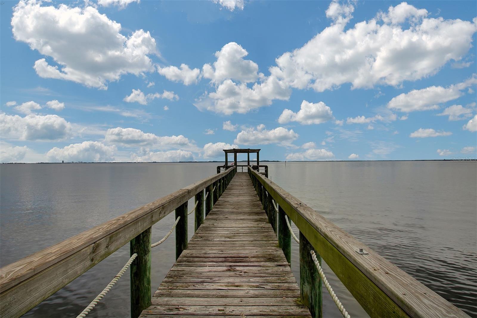 2860 BAYSHORE TRAILS DR, TAMPA, FL, 33611