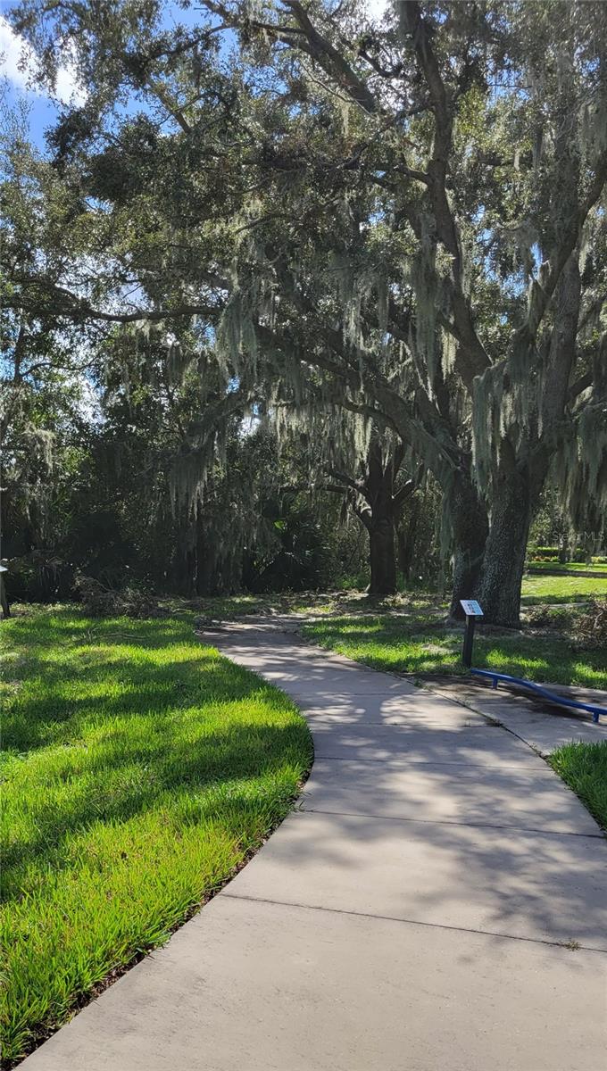 15602 COMPASS ROSE ST, WINTER GARDEN, FL, 34787