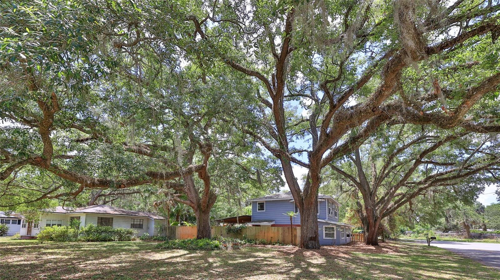 801 E 20TH ST, SANFORD, FL, 32771