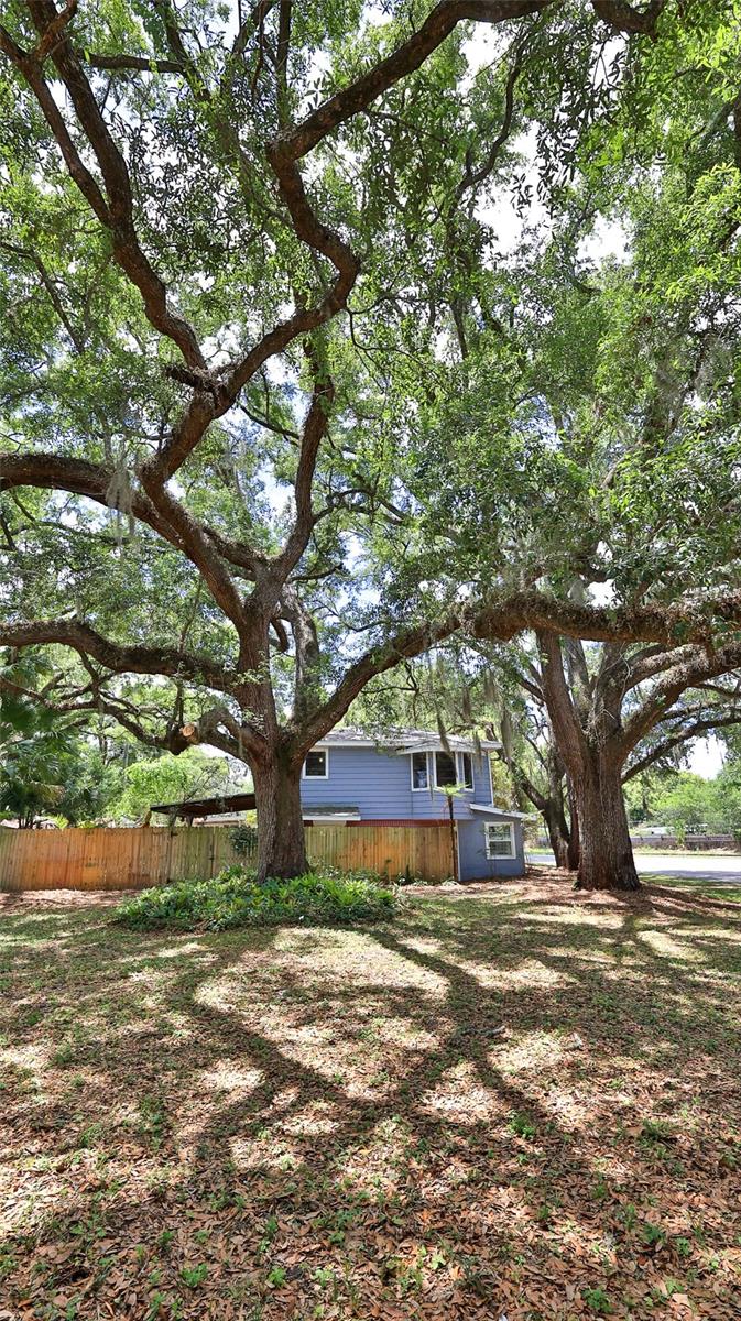 801 E 20TH ST, SANFORD, FL, 32771