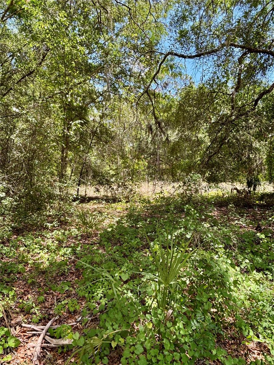 Lot 15 SW SHOREWOOD DR, DUNNELLON, FL, 34431
