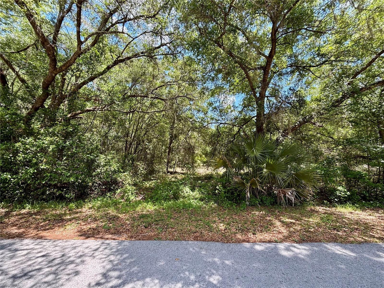 Lot 15 SW SHOREWOOD DR, DUNNELLON, FL, 34431
