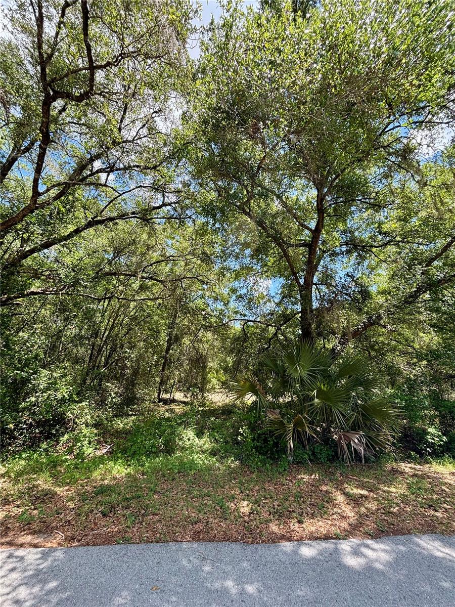 Lot 15 SW SHOREWOOD DR, DUNNELLON, FL, 34431
