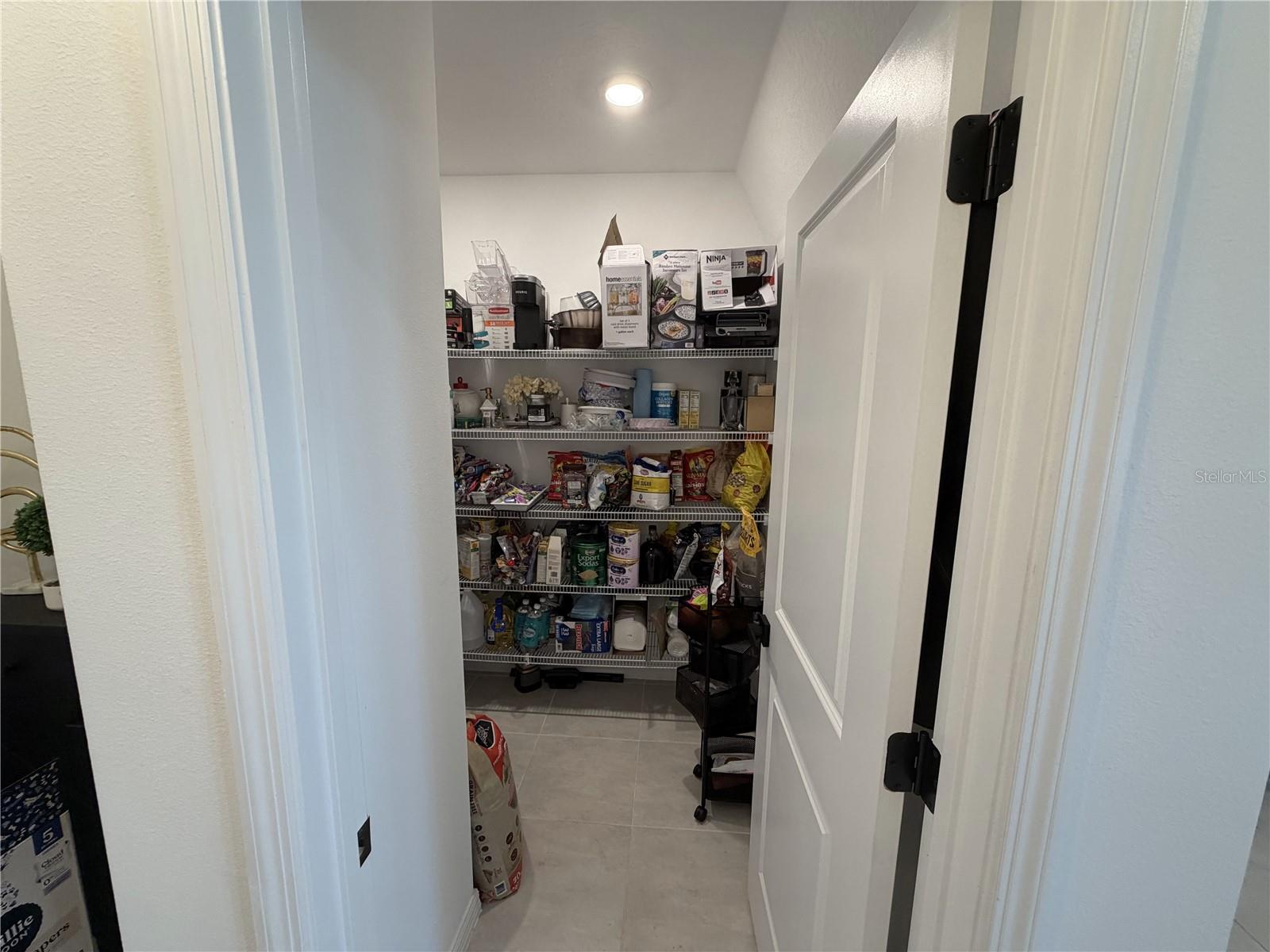 1033 CALICO POINTE CIR, GROVELAND, FL, 34736